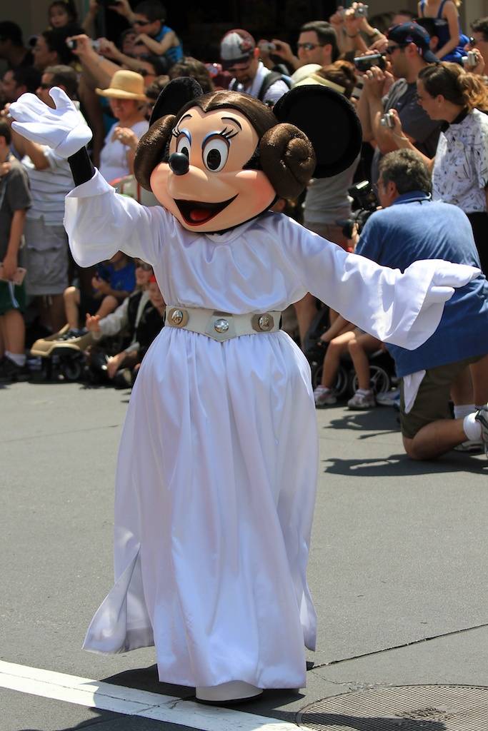 Princess Leia Minnie