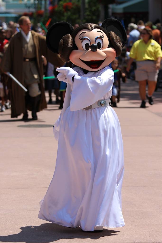 Princess Leia Minnie 