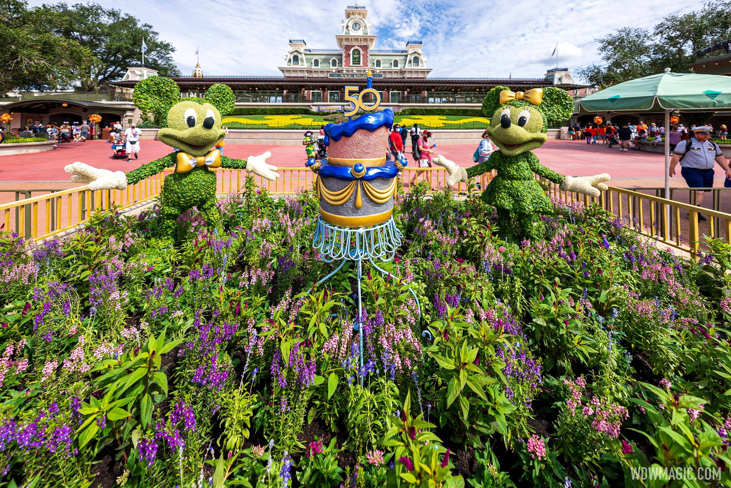 50th birthday cake joins Mickey and Minnie topiary at the Magic Kingdom main entrance