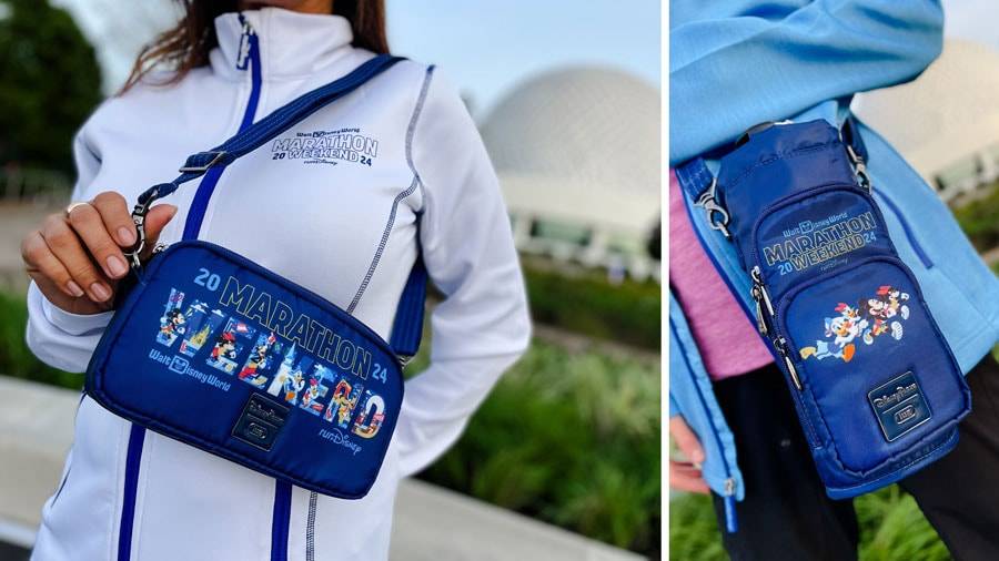 News: Disney Branded Ziploc Bags Distributed at Splash Mountain in Disney  World and Disneyland