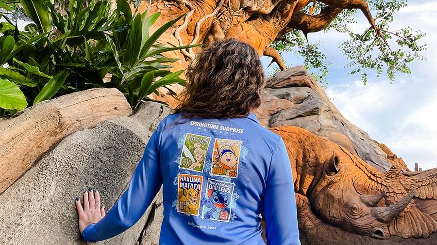 RunDisney Springtime Surprise Weekend Medium shops Zip up