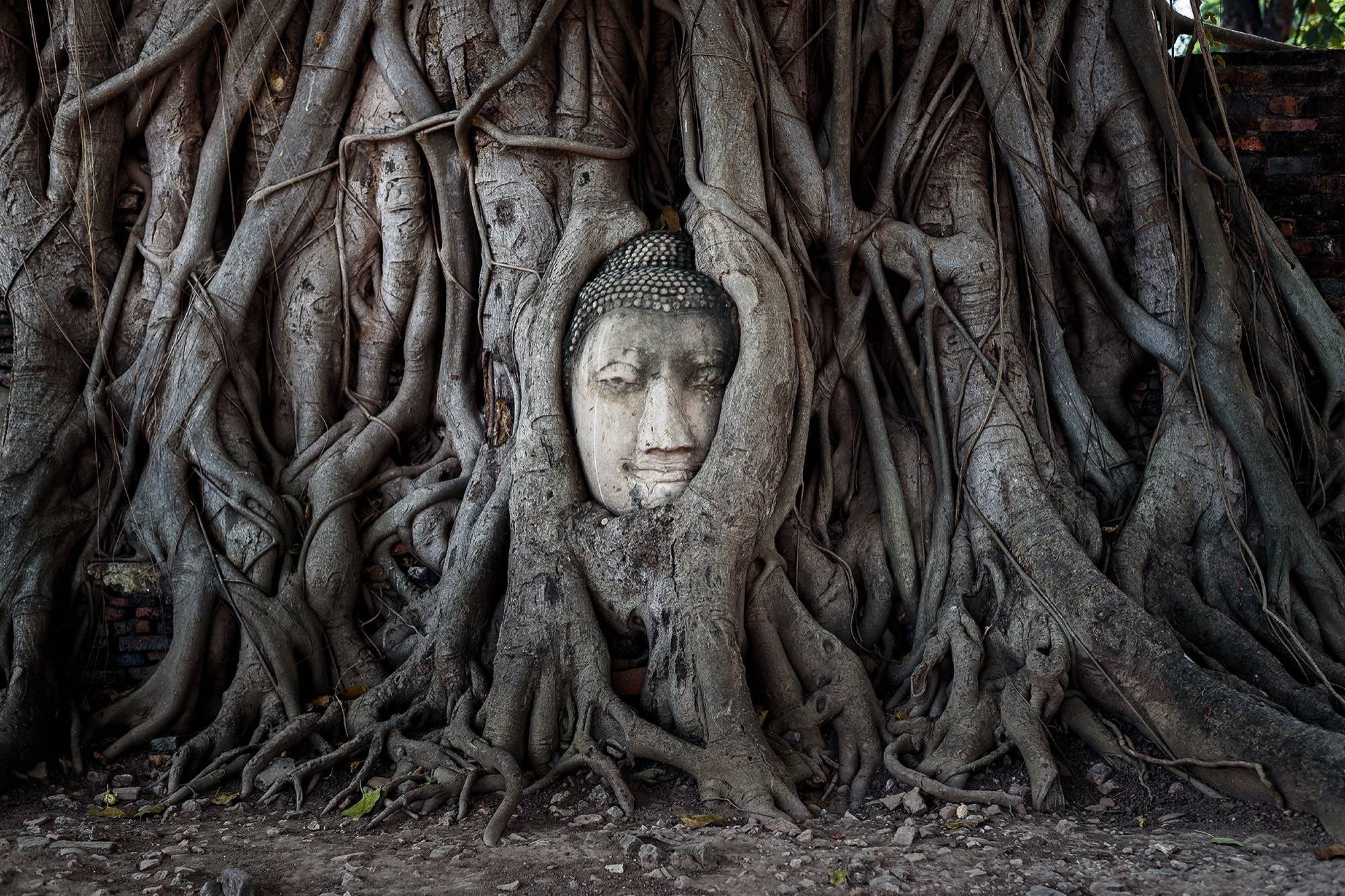 Adventures by Disney Thailand Ayutthaya