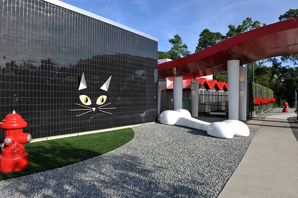 Best Friends Pet Care luxury pet resort, now open at Walt Disney World Resort, offers plush accommodations and VIP (very important pet) suites for cats, dogs and other pets while their families are on vacation. 