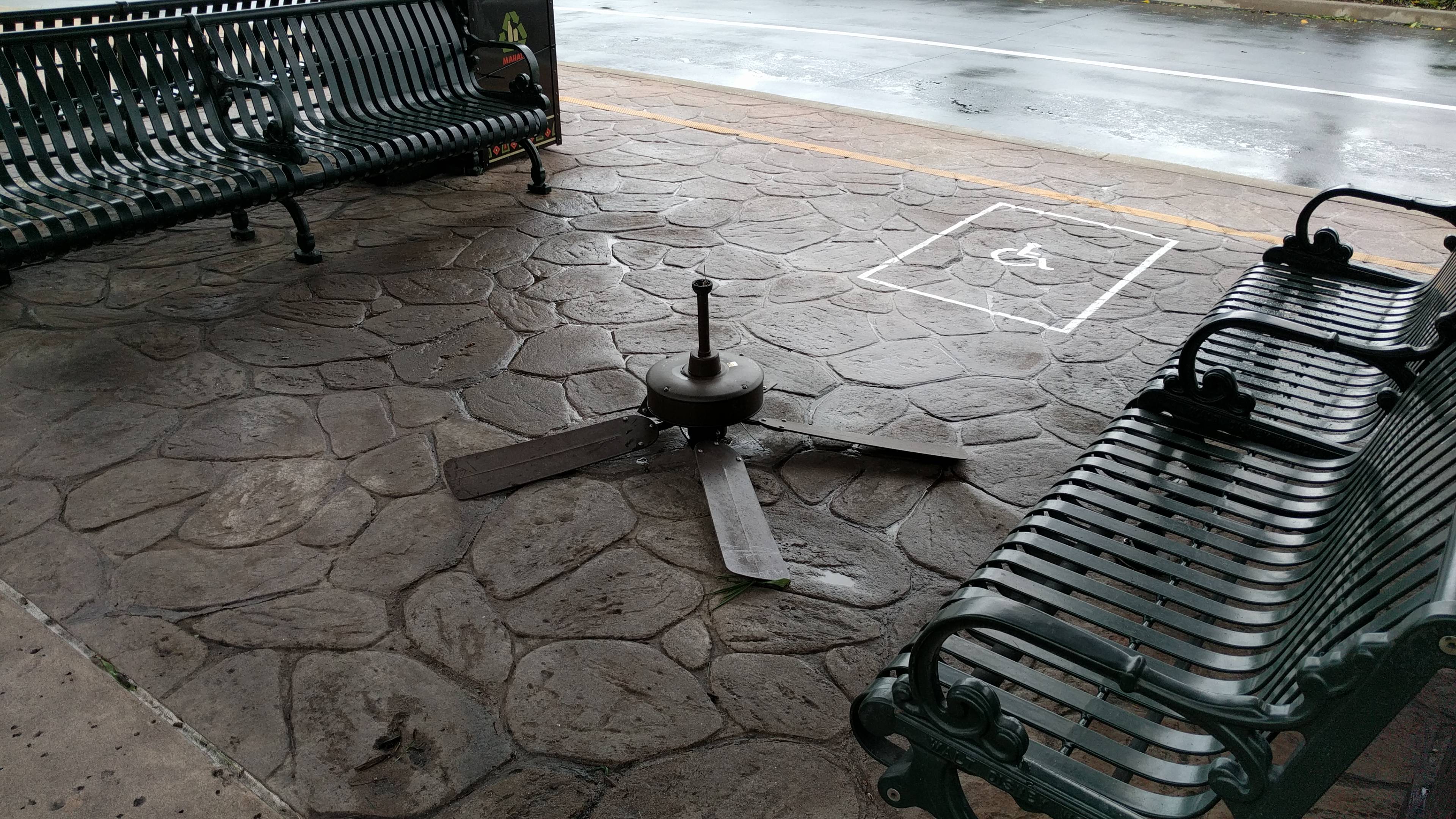 Hurricane Irma damage at Disney's Polynesian Resort