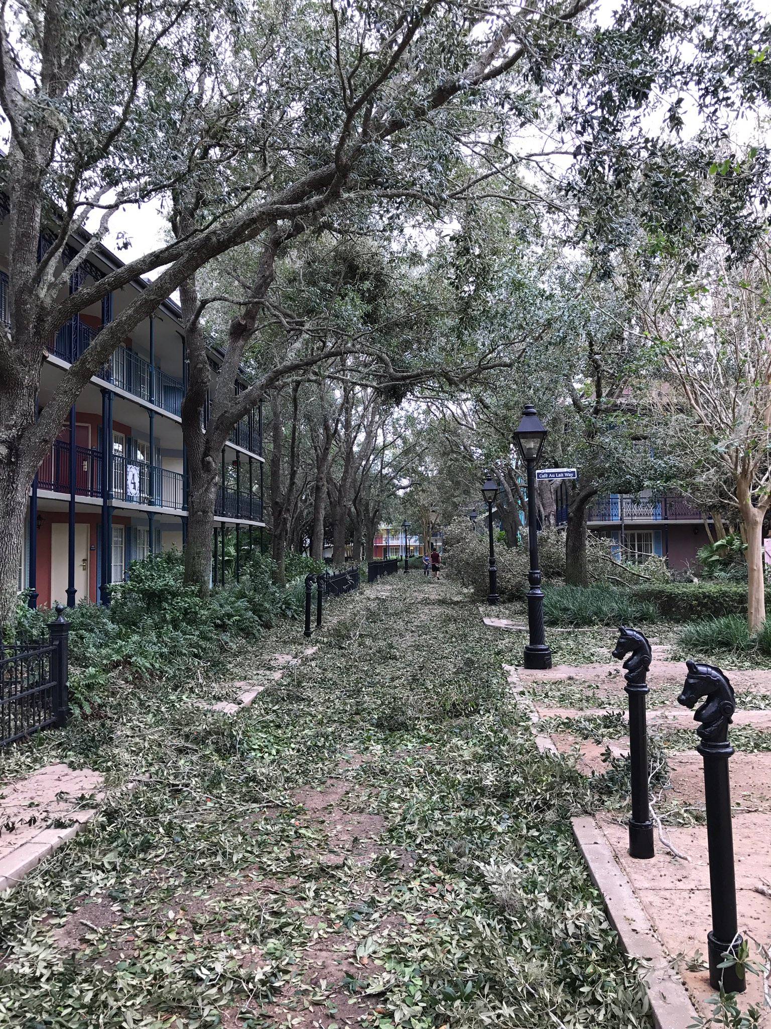 Hurricane Irma damage at Disney's Port Orleans Resort. Photo by @CafeFantasia