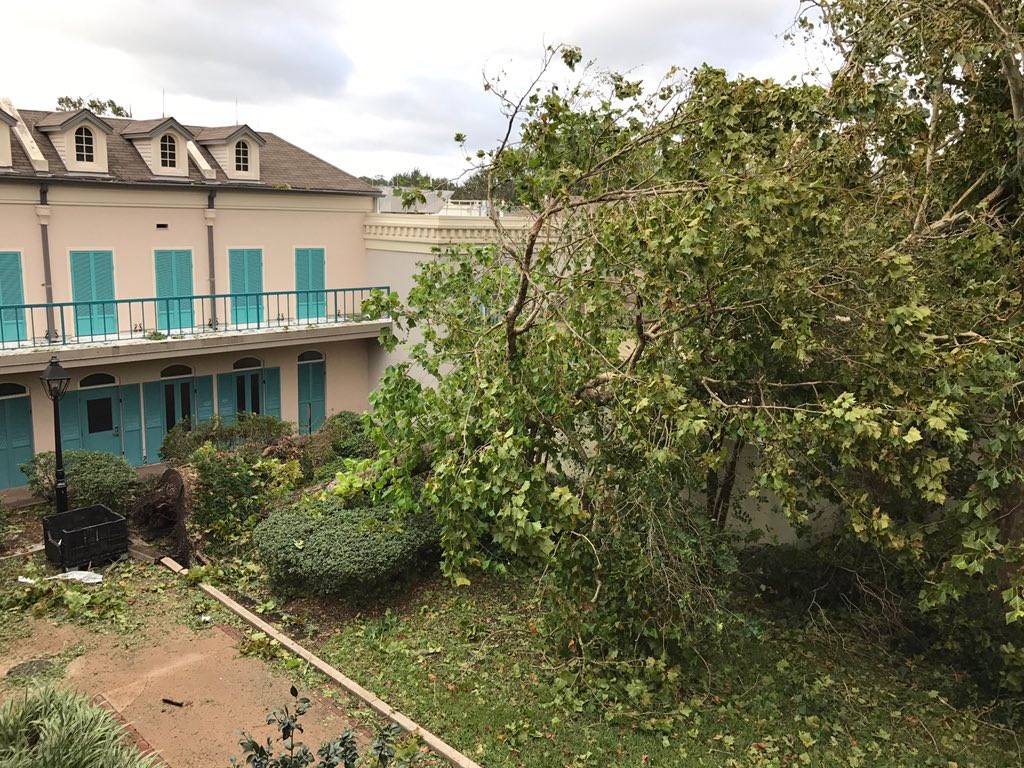 PHOTOS - Trees uprooted at Disney's Port Orleans Resort from Hurricane Irma