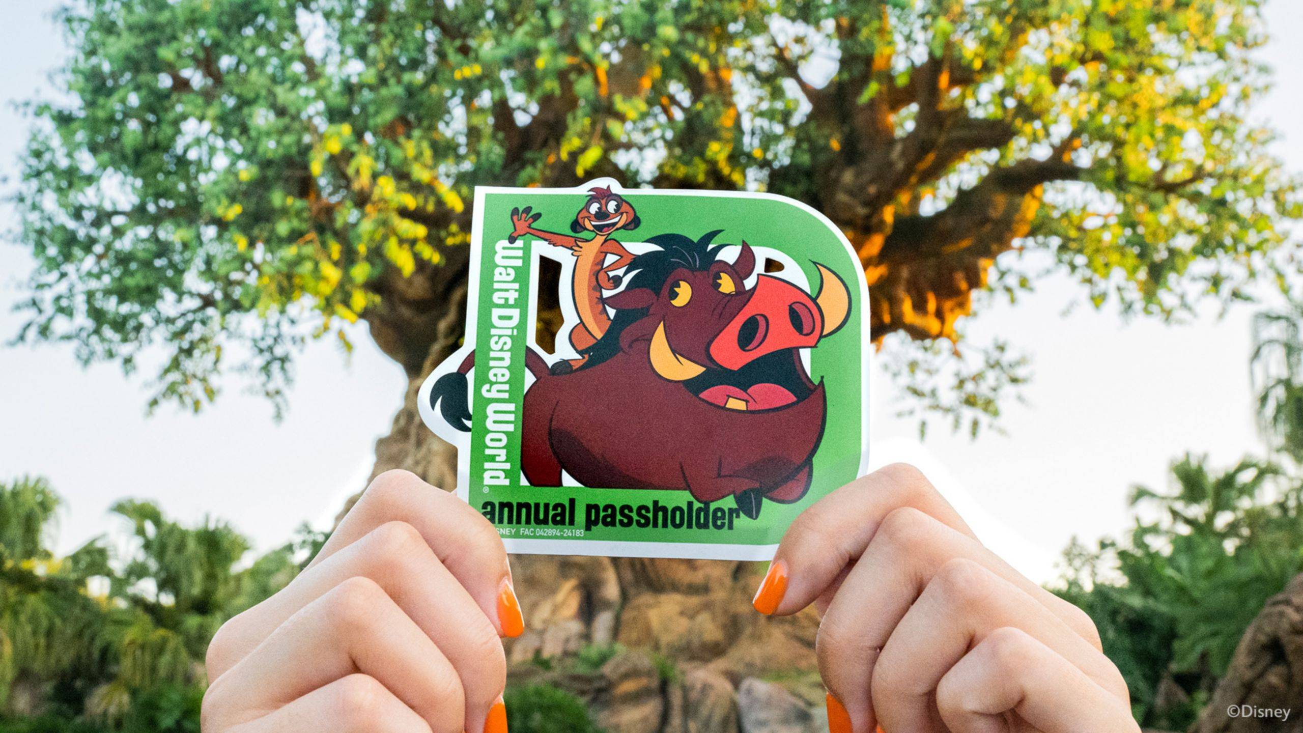 Passholder Magnet and Treat at Disney's Animal Kingdom - August 2024