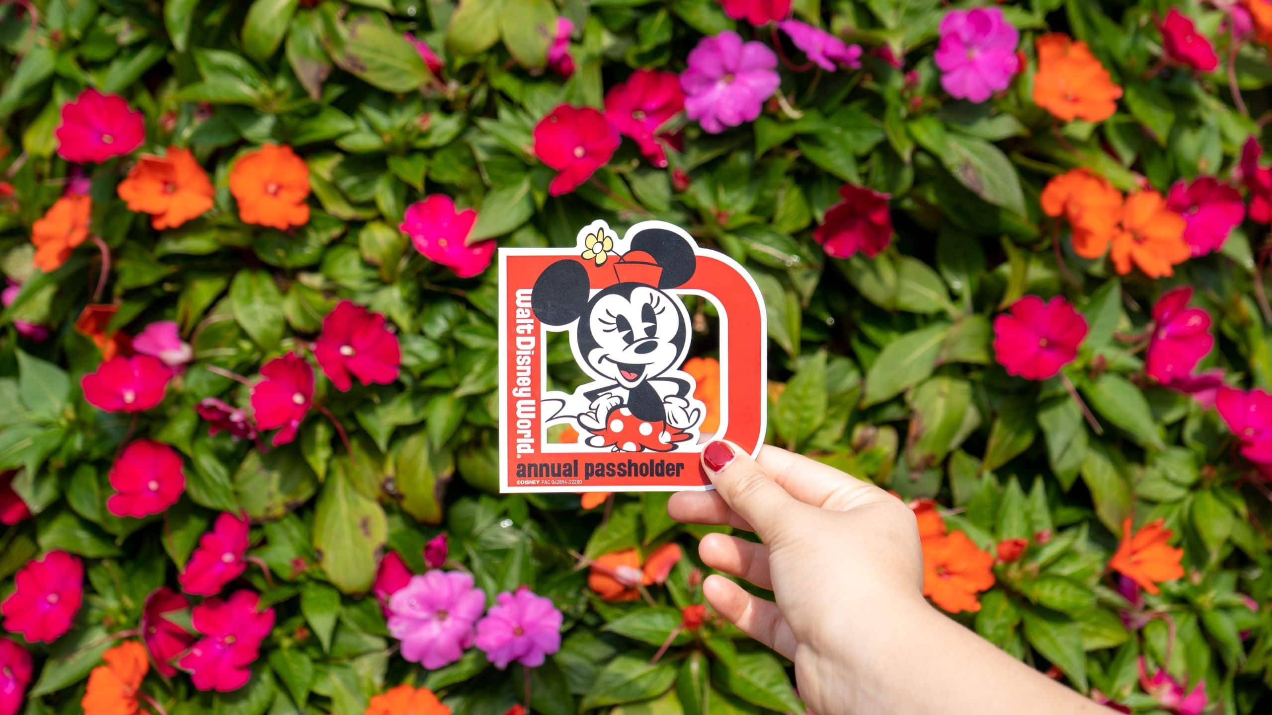 Minnie Mouse Passholder Magnet February 2025