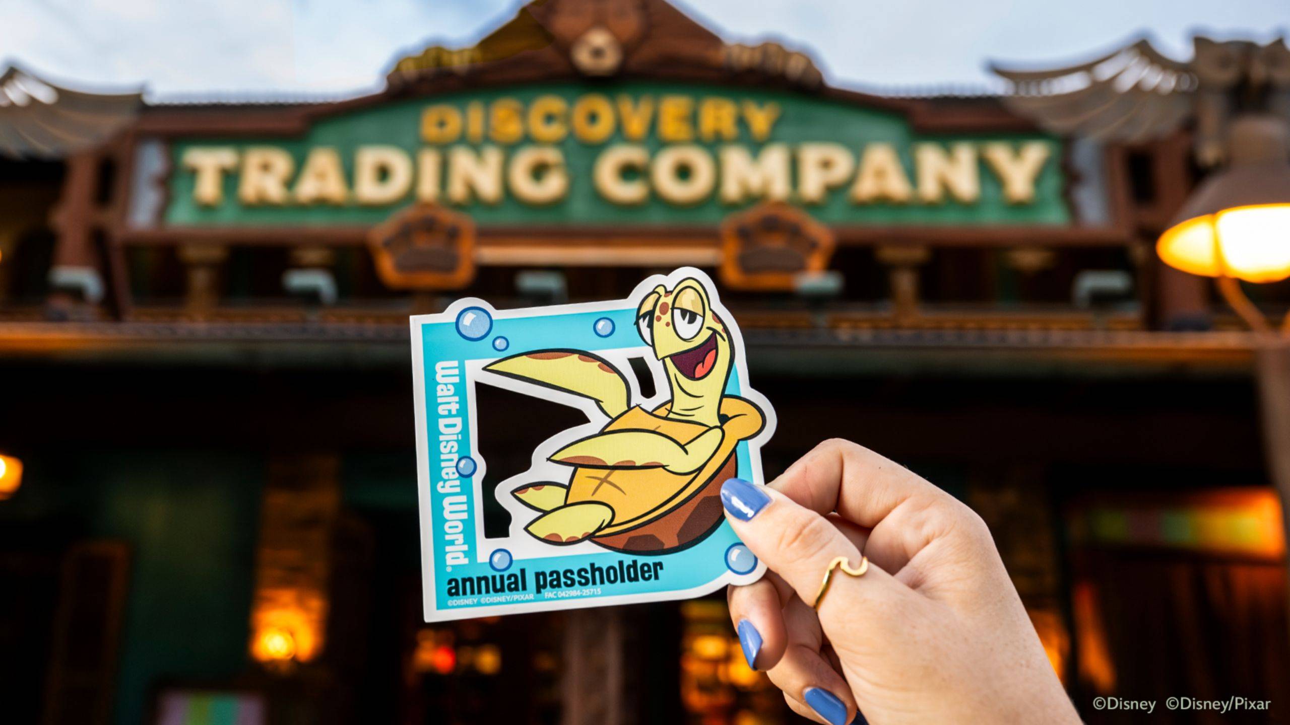 First Look at the New Complimentery Crush Passholder Magnet at Walt Disney World