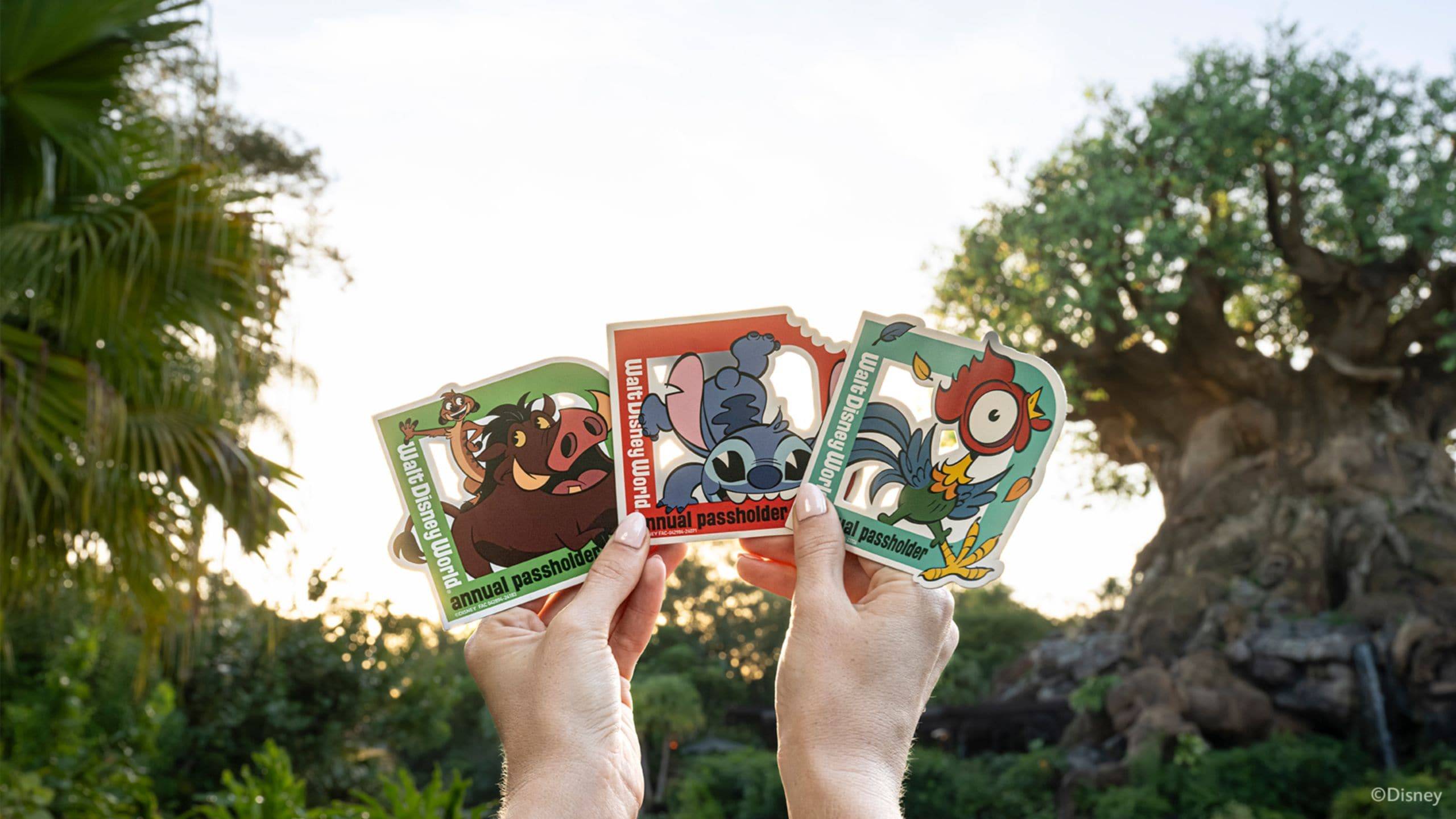 Stitch, Hei Hei, Timon and Pumbaa Passholder Magents