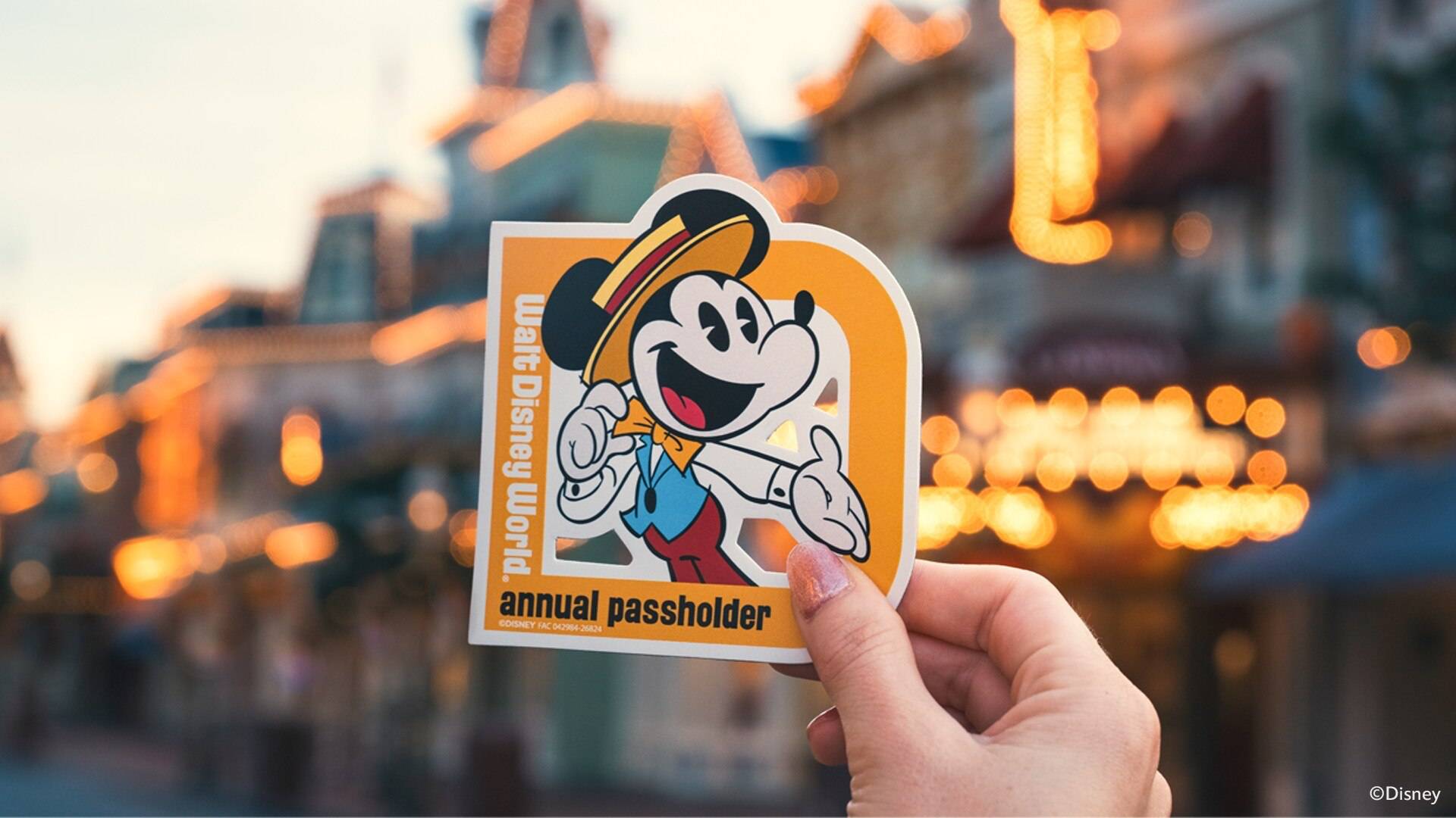 Walt Disney World Annual Pass Renewal Magnet