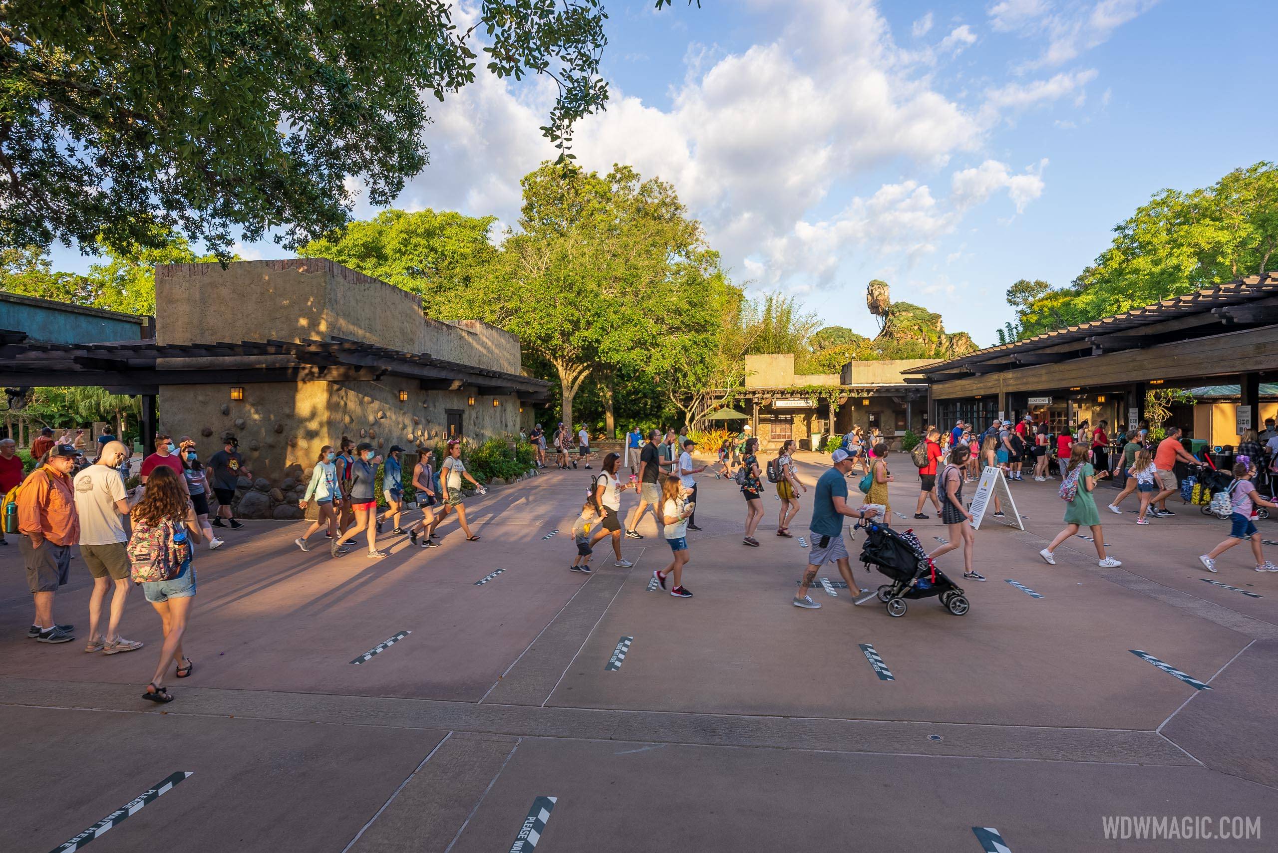 Guests arriving at Disney's Animal Kingdom over the summer, with some choose to continue to wear masks