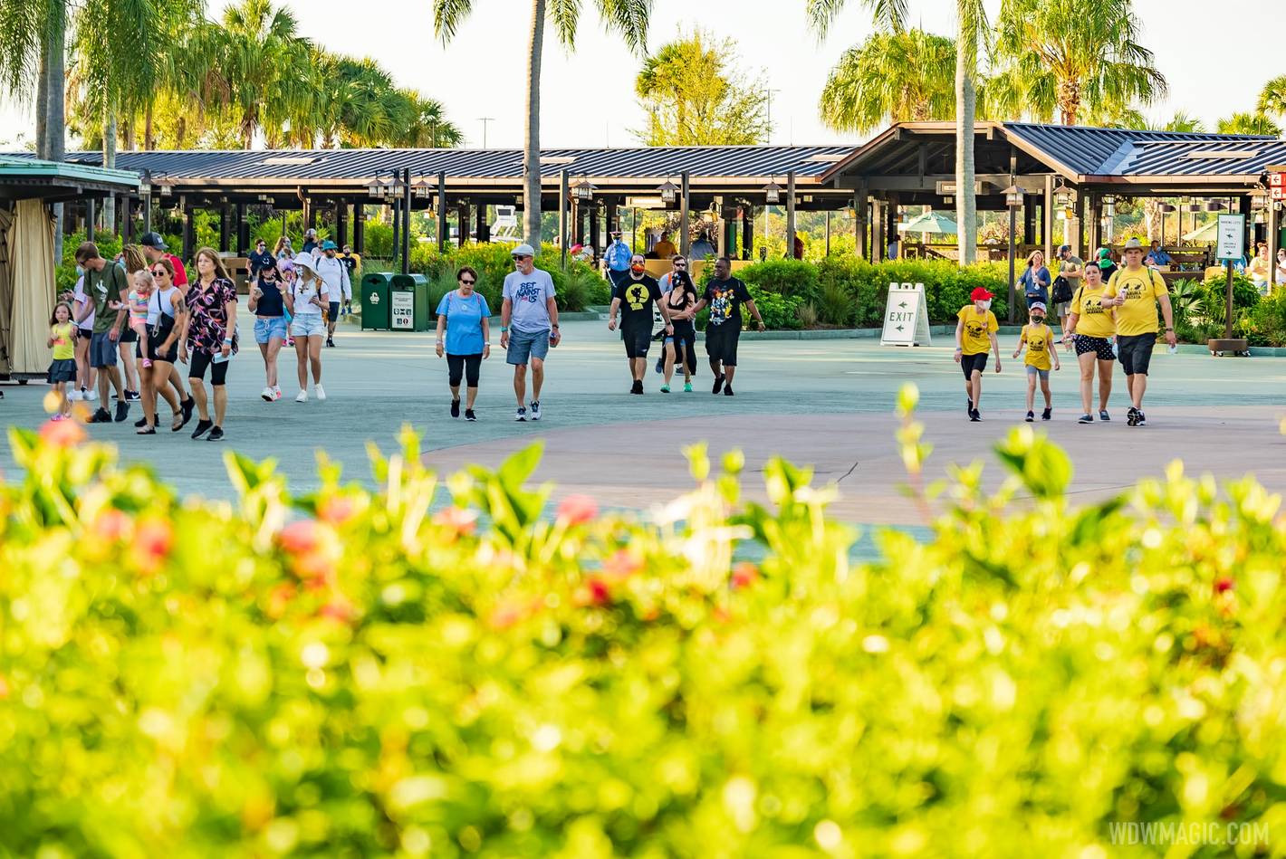 Guests entering Disney's Animal Kingdom without masks for the first time in a year on May 15