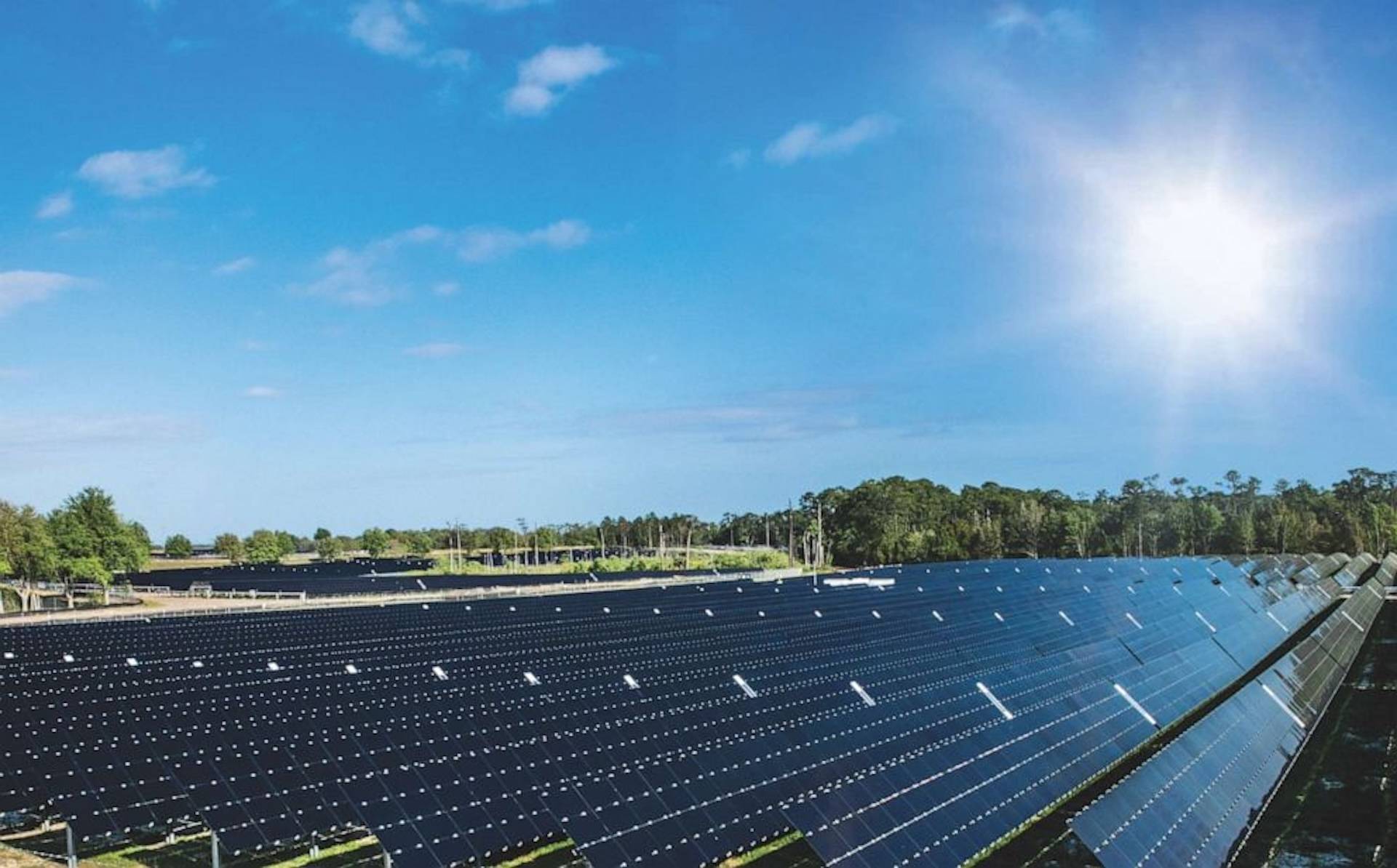Walt Disney World Solar Array