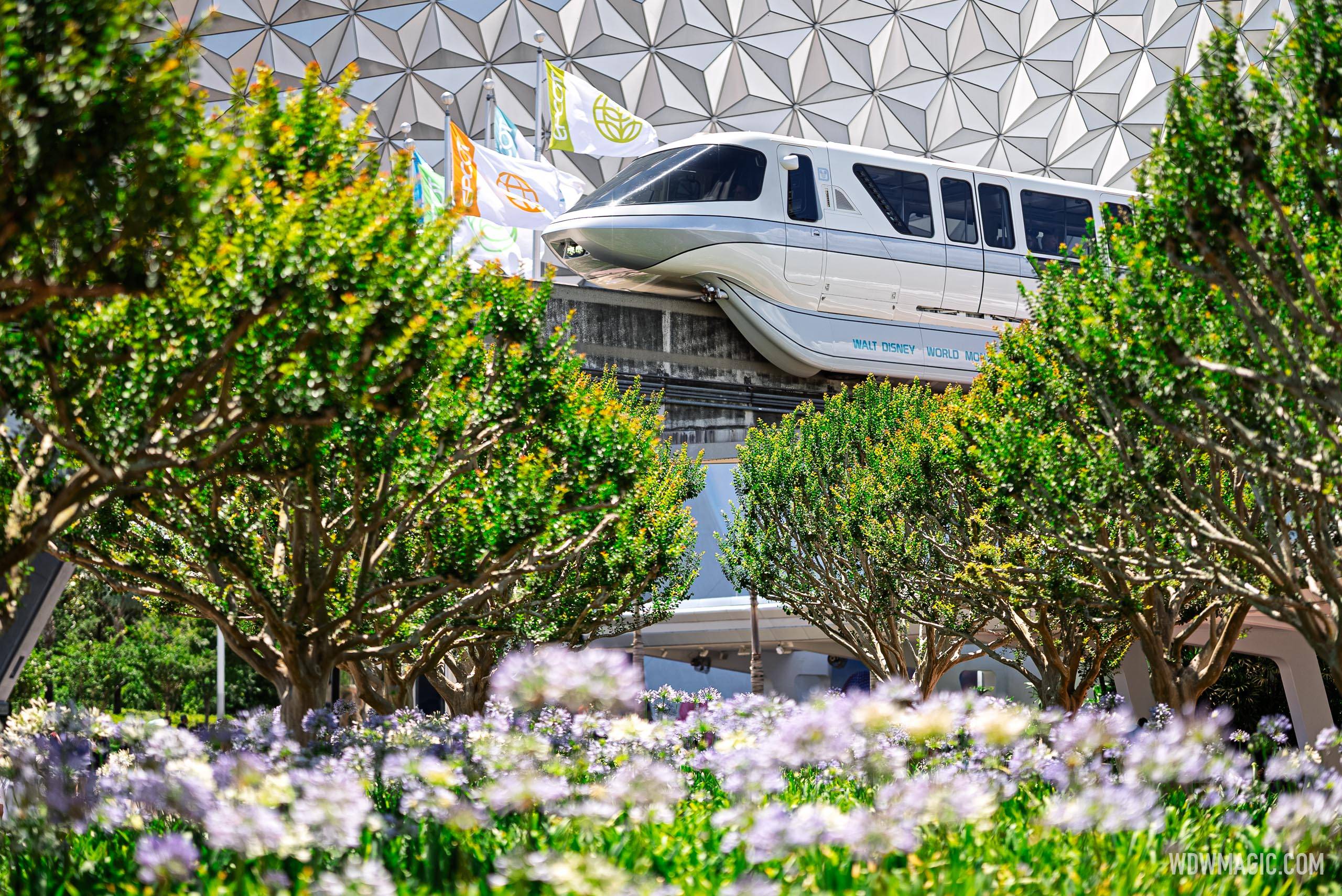 Walt Disney Company