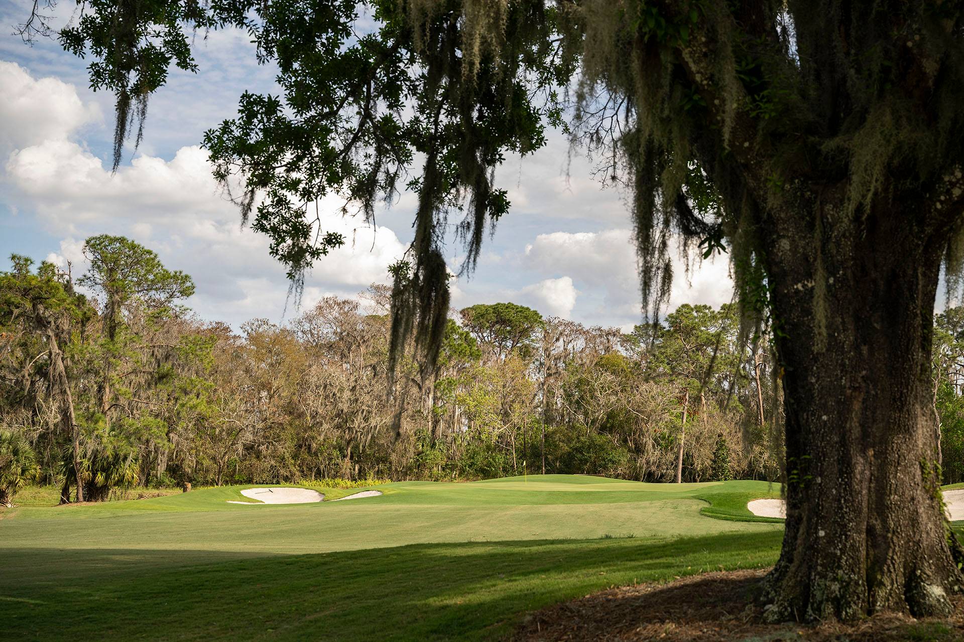 Grumpy's Gauntlet Magnolia Golf Course