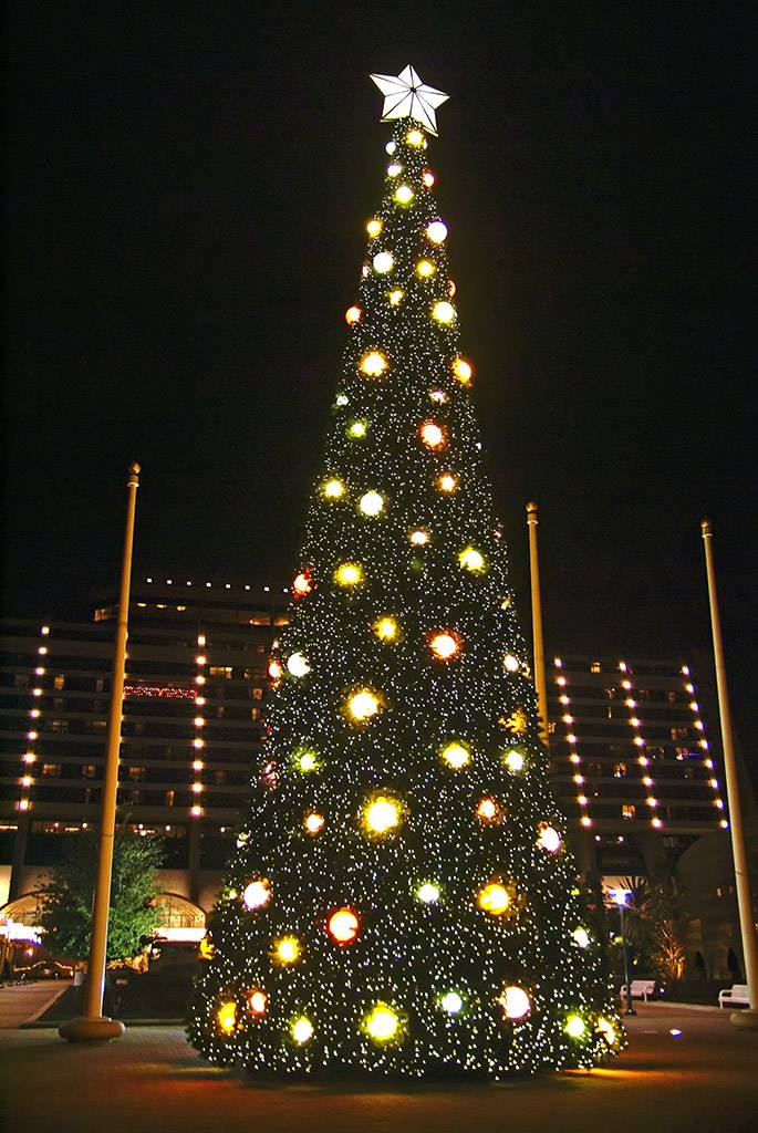 The new 2008 Contemporary Resort Christmas tree lit at nighttime