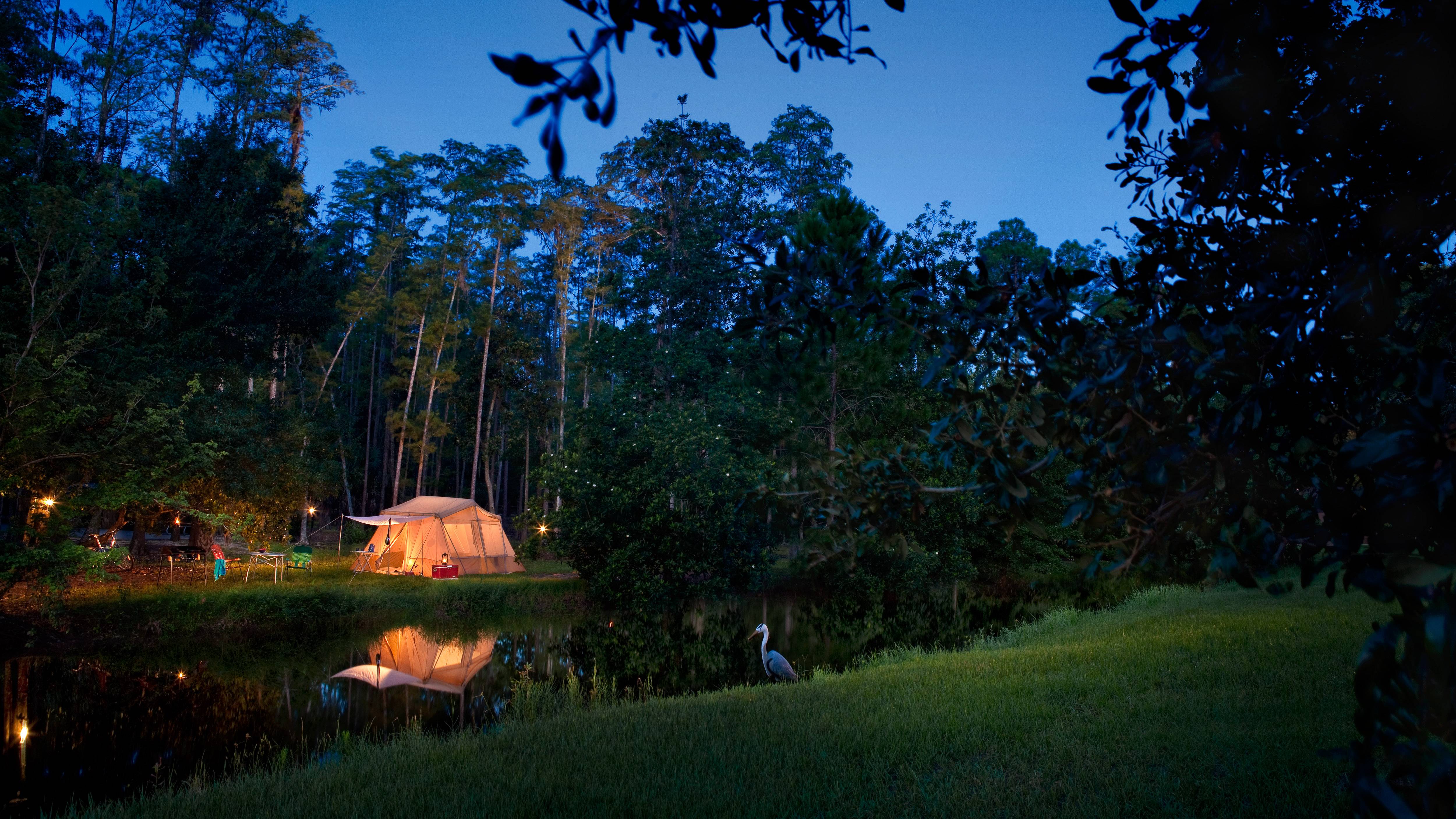 Disney's Fort Wilderness Resort: Big Pine Trail Sidewalk Work Through Mid-October 2026