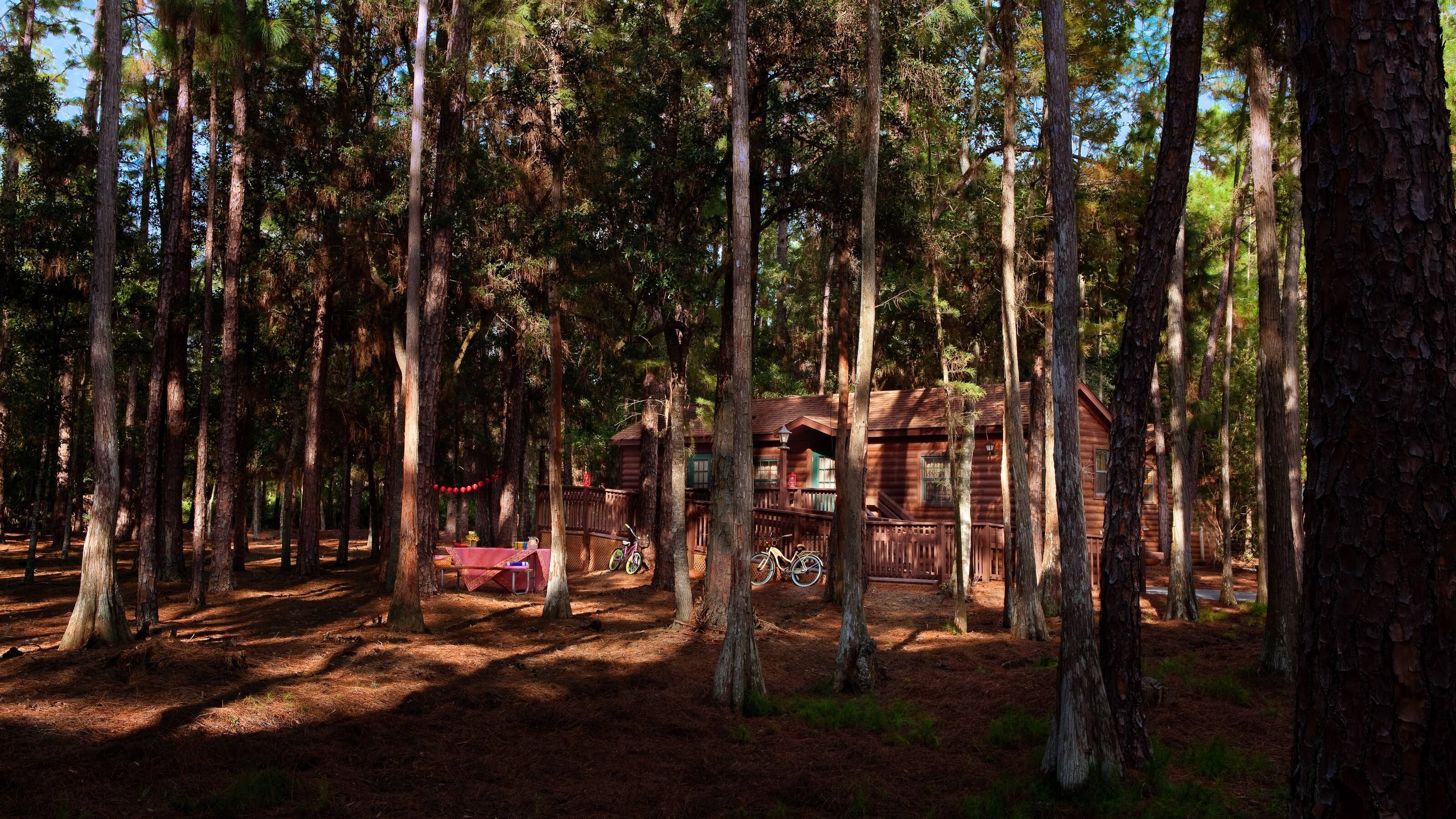 The existing Cabins at Disney's Fort Wilderness Resort will be replaced