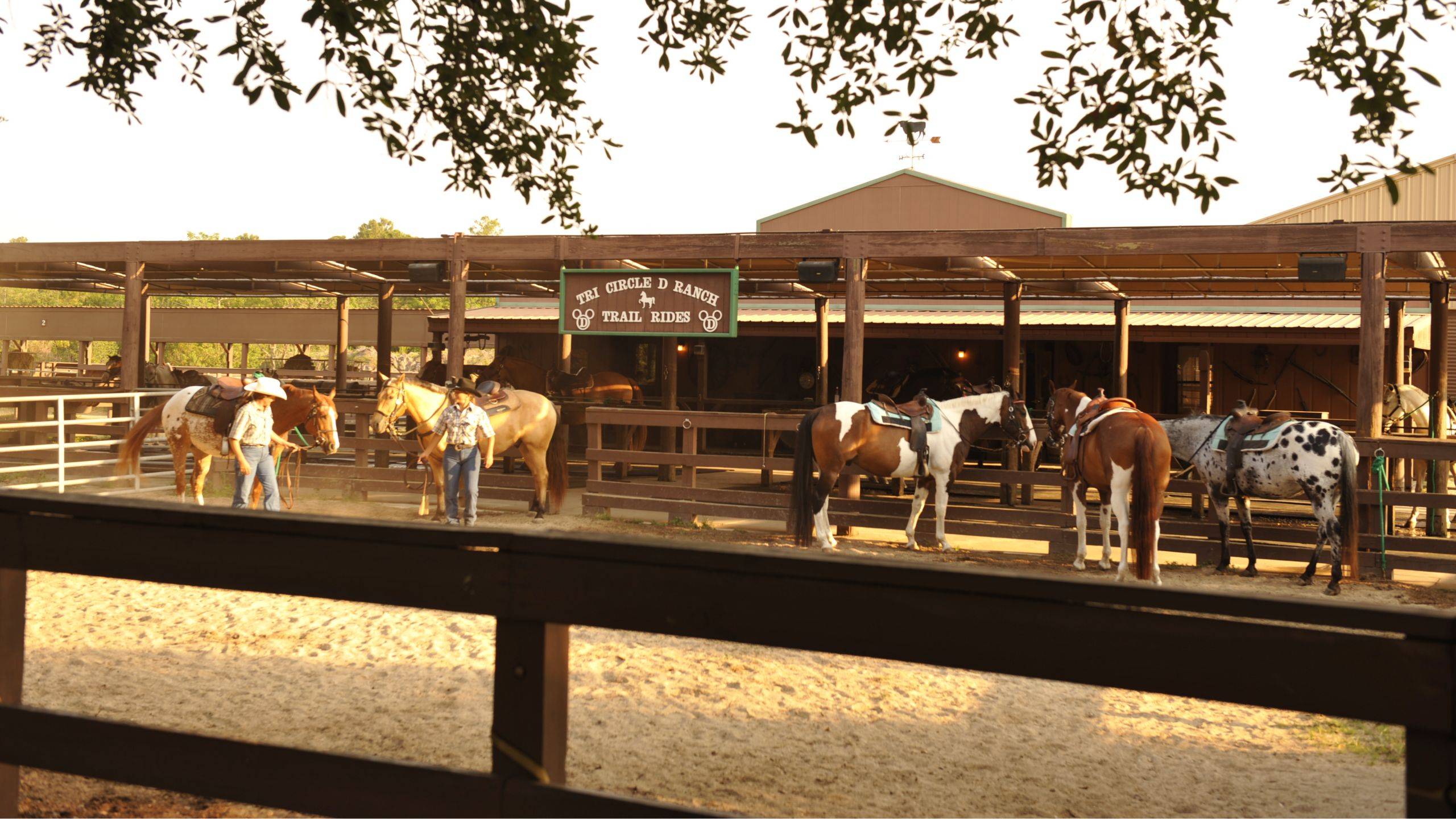 Horseback riding at Disney's Fort Wilderness Resort