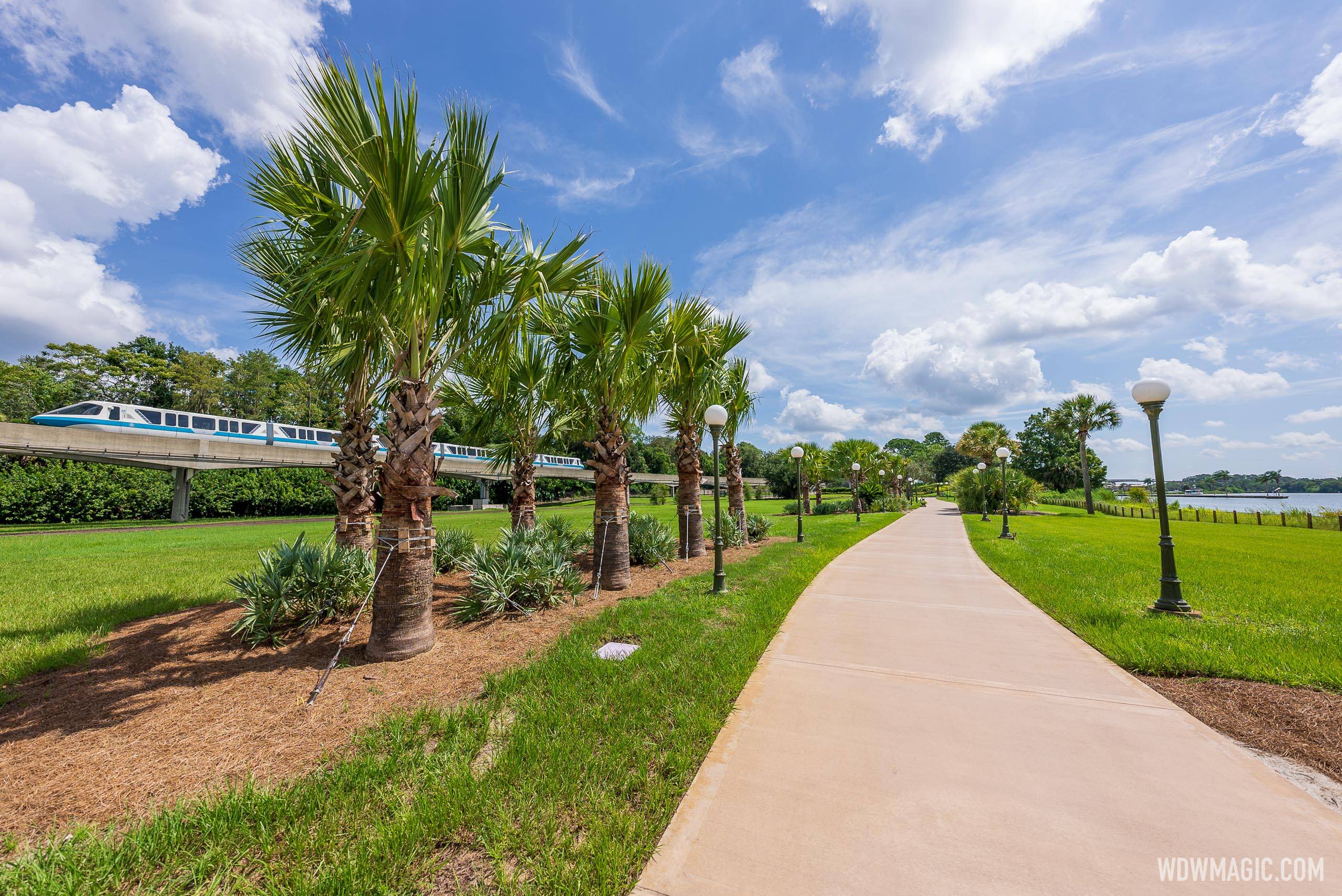 New landscaping at the Grand Floridan Resort walkway to Magic Kingdom