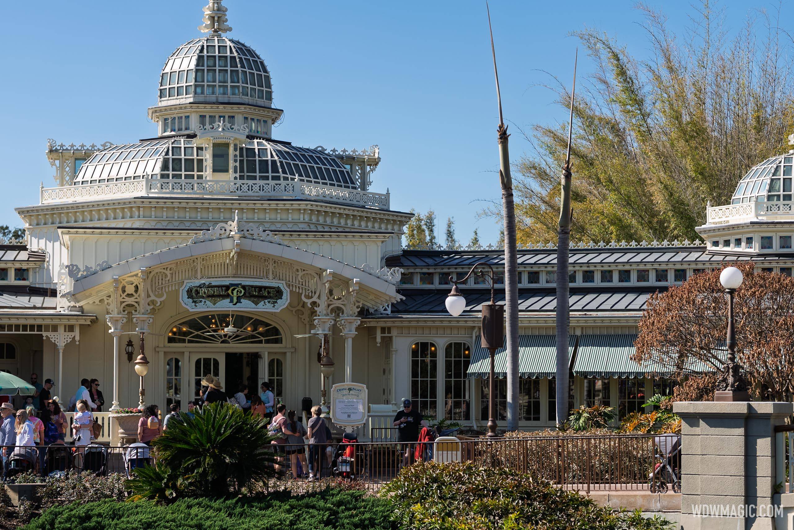 Disney World Freeze Damage: Landscaping Cleanup Underway - February 2026