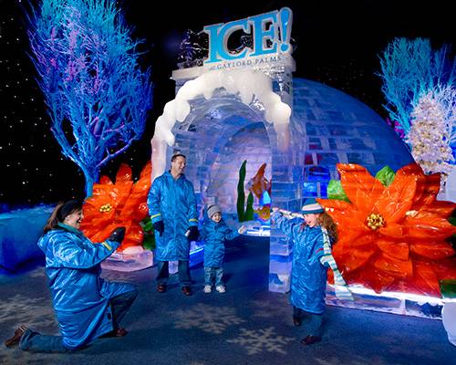 Best of Florida Christmas at Gaylord Palms - Featuring ICE!