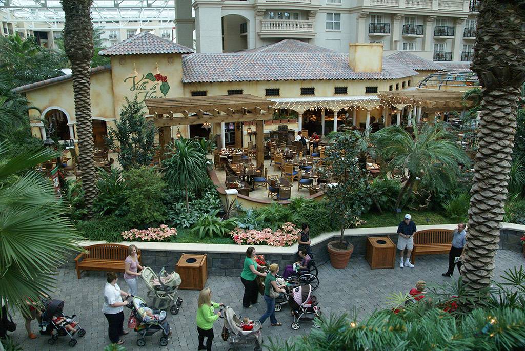 Gaylord Palms Restaurants - Photo 2 Of 12