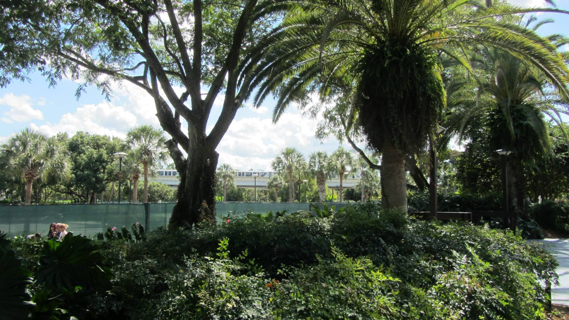 Early signs of DVC villas site preparation at Disney's Polynesian Resort