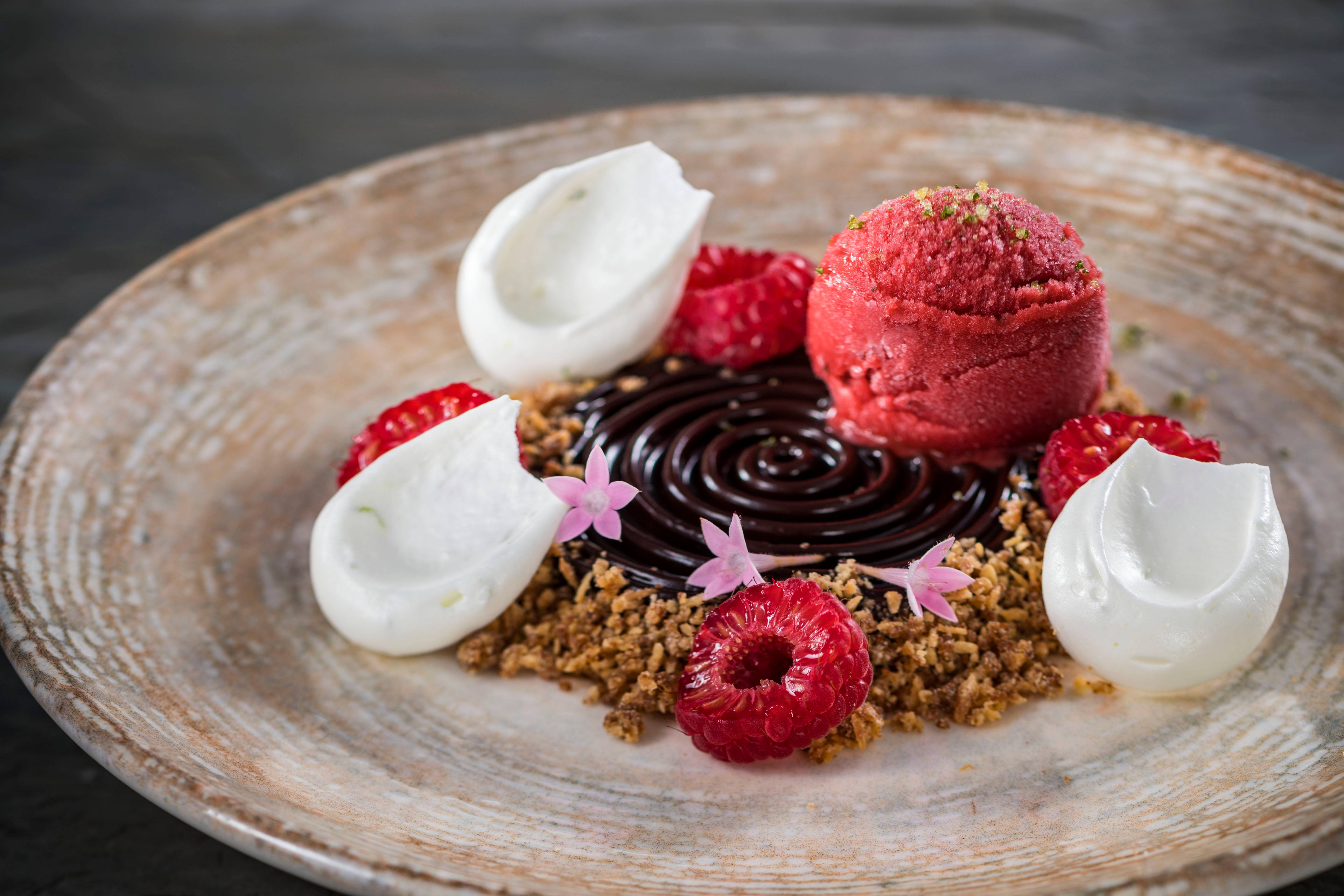 Plant Based Foods - Chocolate-Avocado Mouse with strawberry-basil sorbet and coconut crumble from Toledo – Tapas, Steak & Seafood at Gran Destino Tower