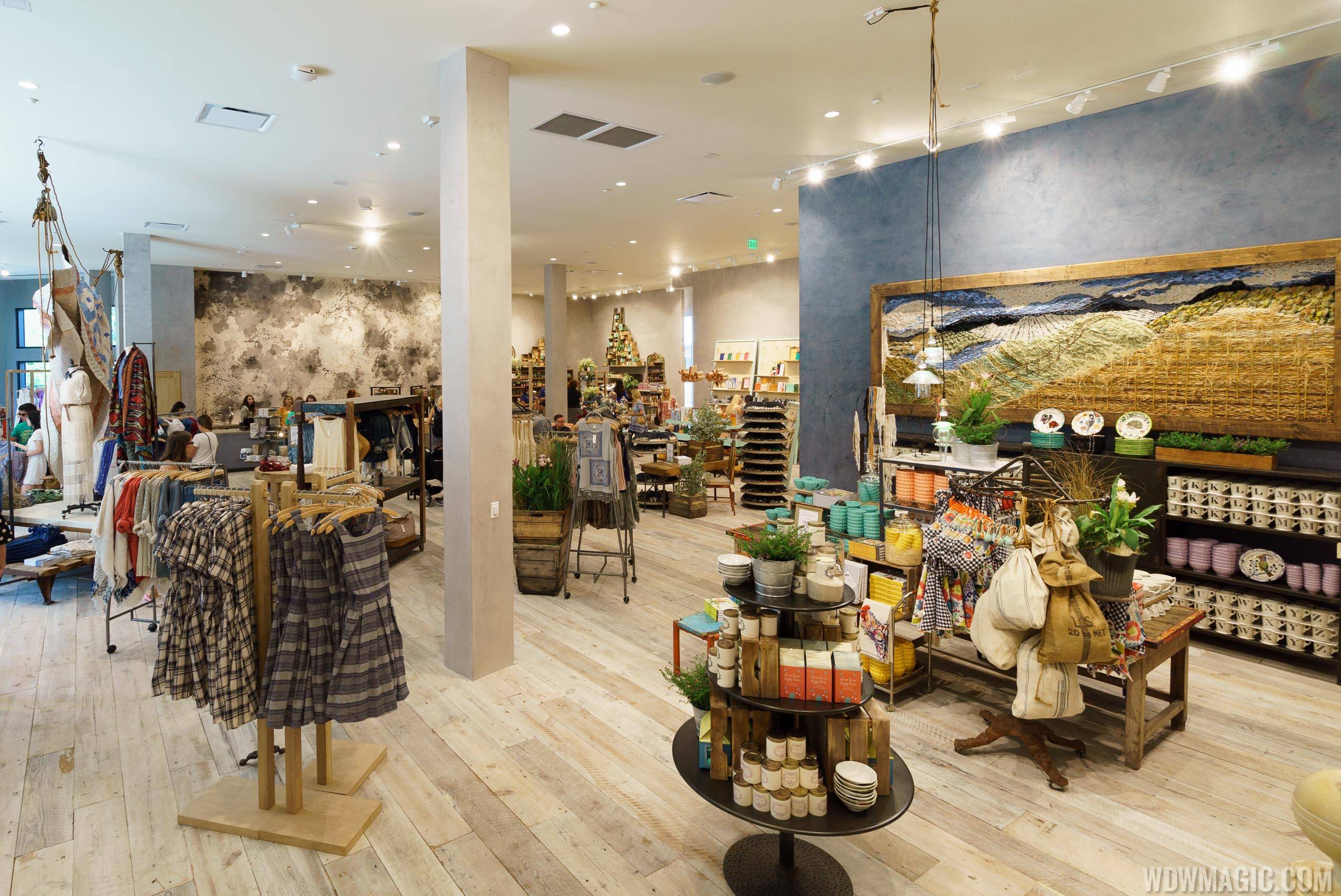 Anthropologie overview