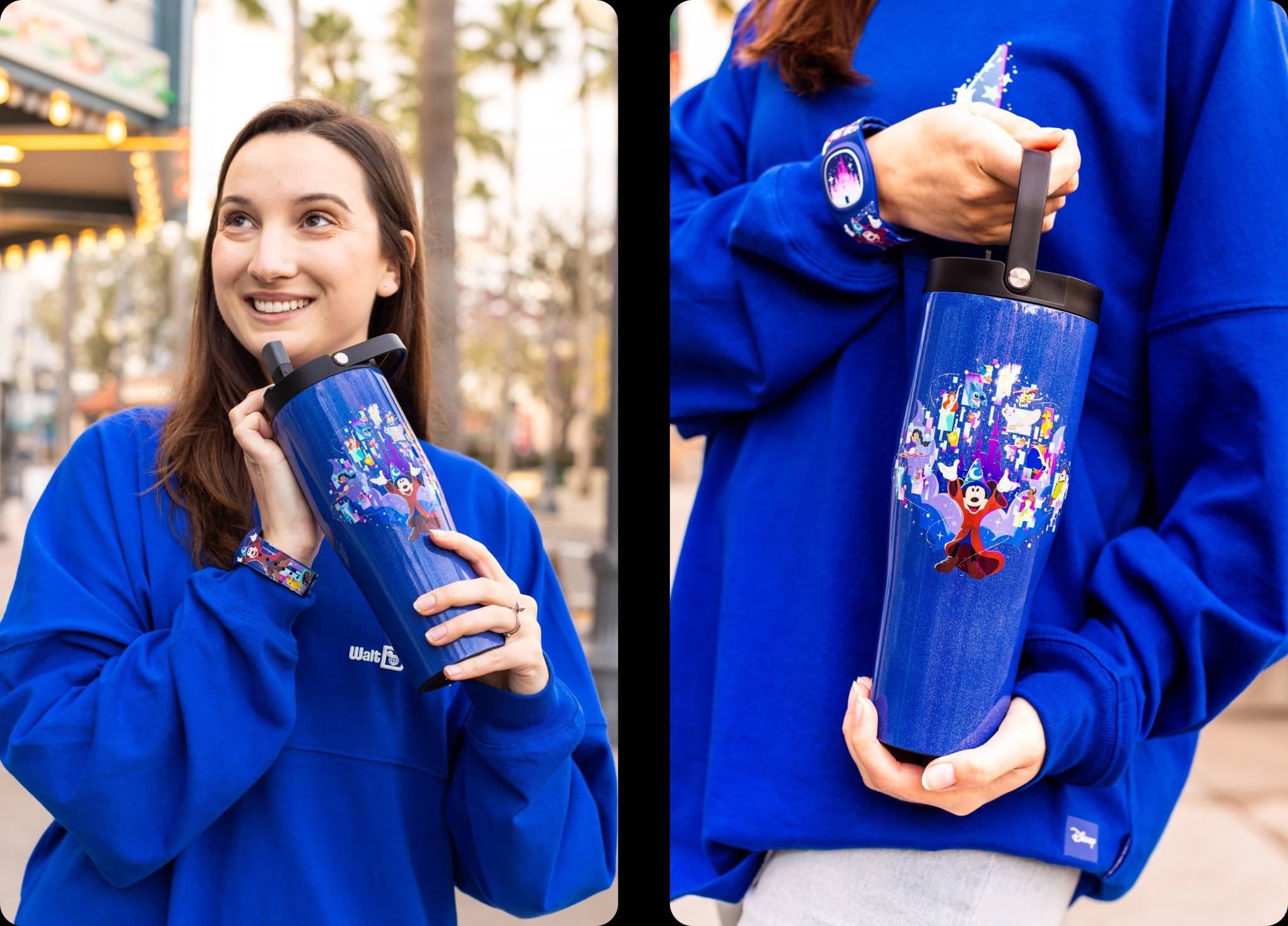 Sorcerer Mickey Merchandise Collection