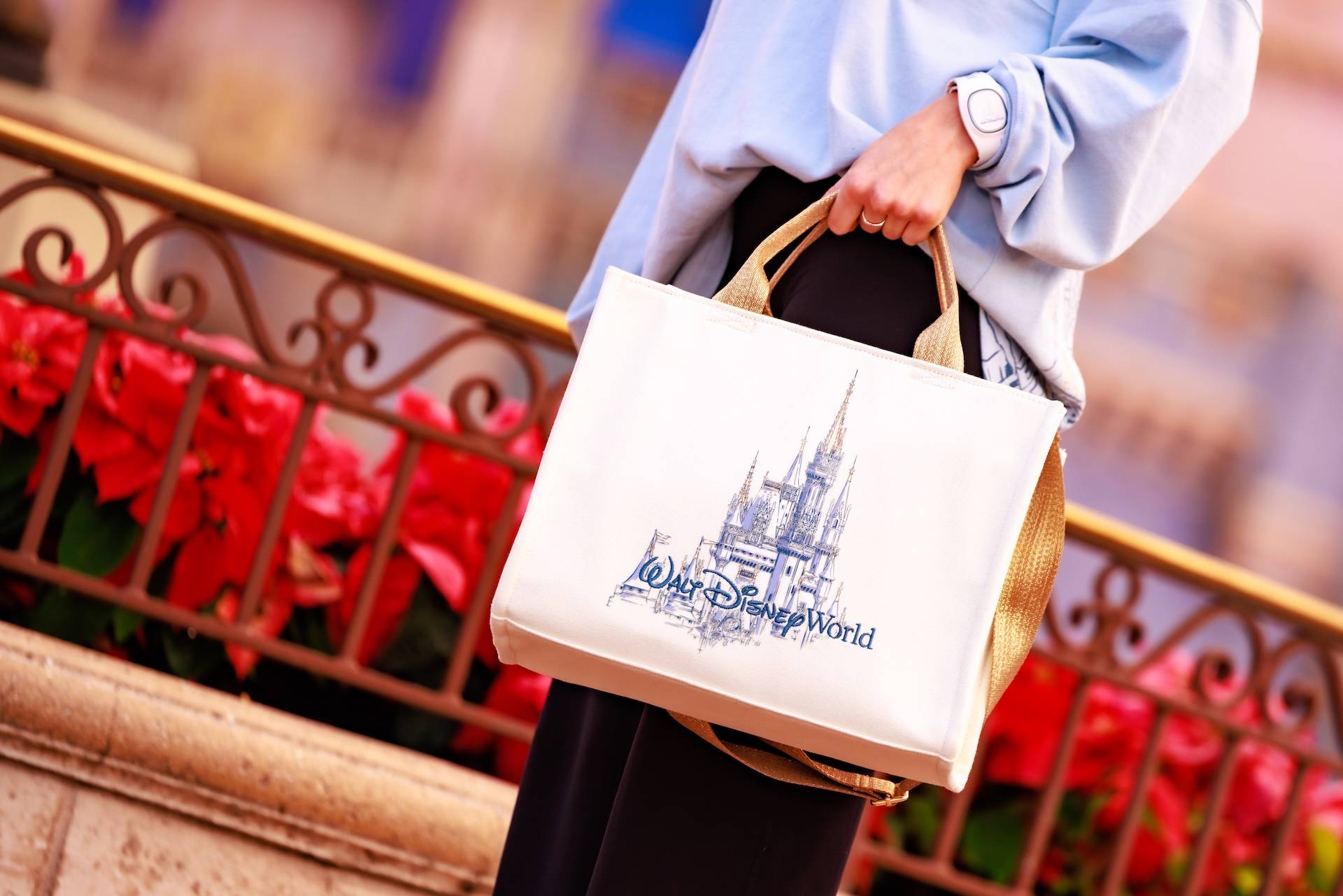 New 2026 Disney World Merchandise Collections Feature Castle and Park Designs