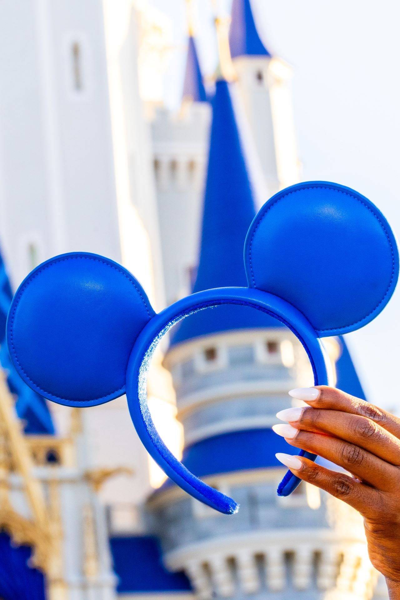 Last Day of Parks Blue Collection Headband