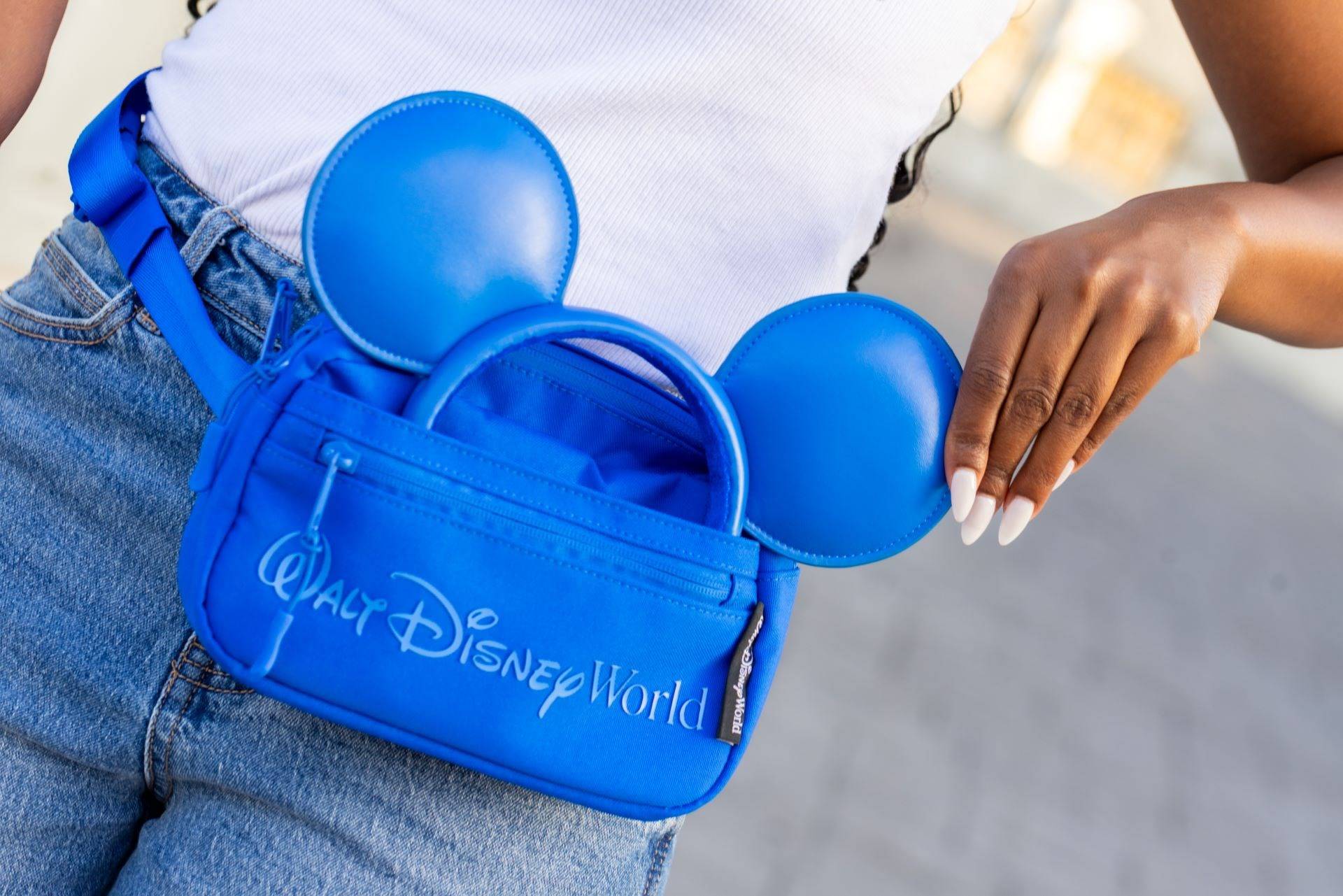 Last Day of Parks Blue Collection Fanny Pack
