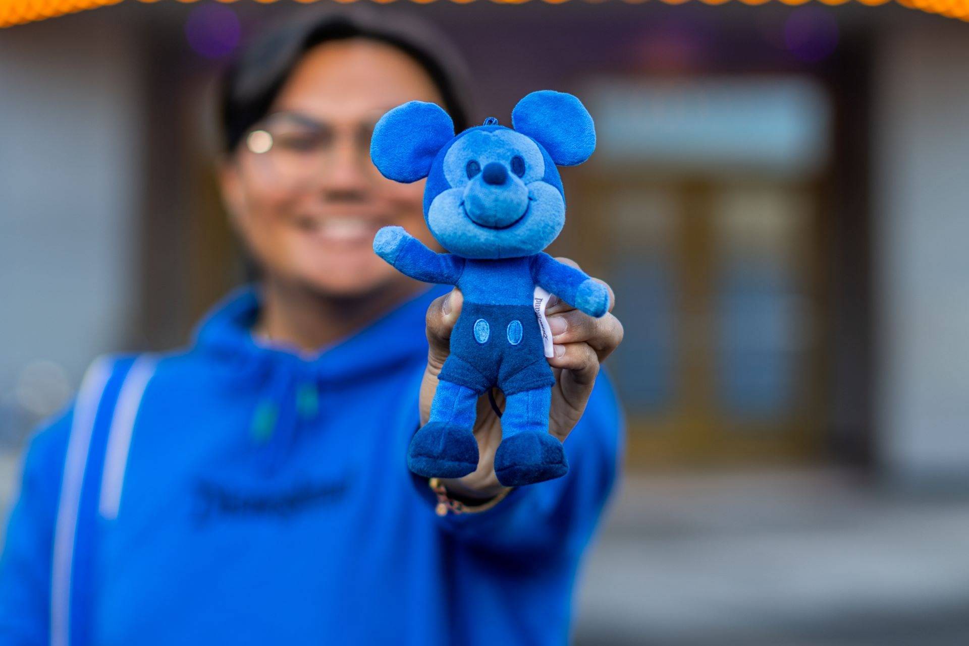 Last Day of Parks Blue Collection Plush