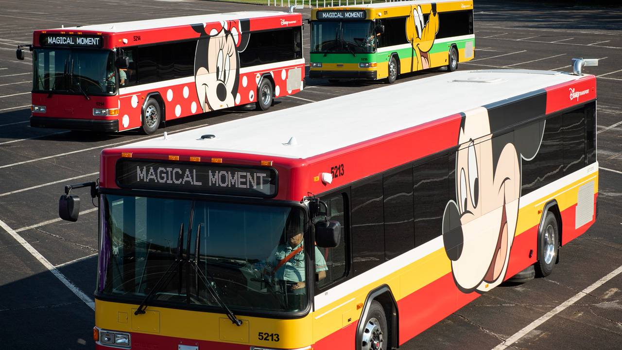 VIDEO - New character wrap buses coming to Walt Disney World this summer