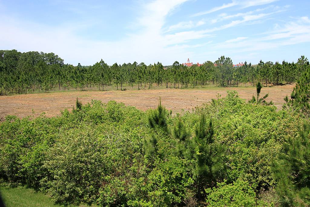 Land cleared by the TTC on the site of the Mediterranean Resort plot