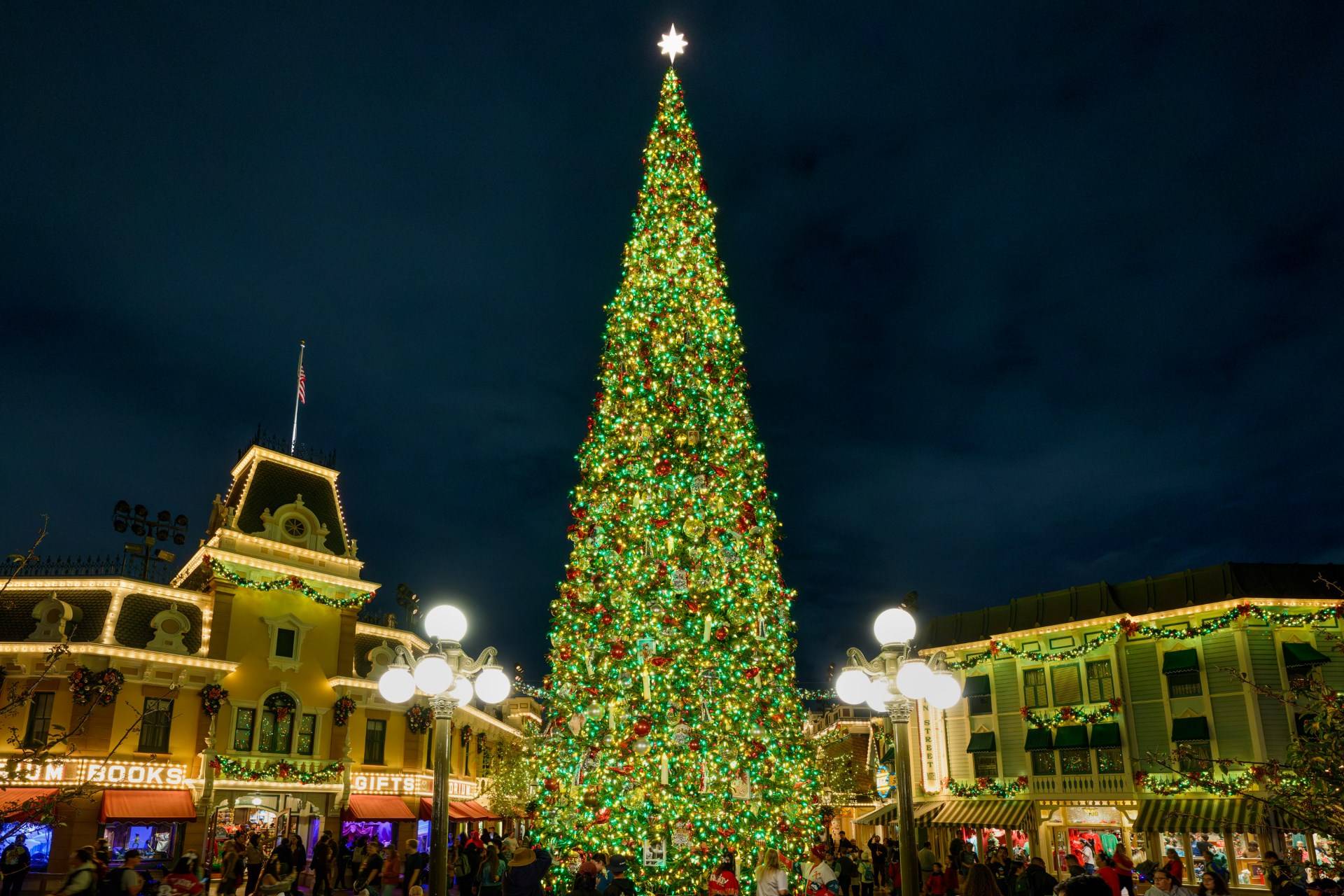 Christmas Tree Disneyland