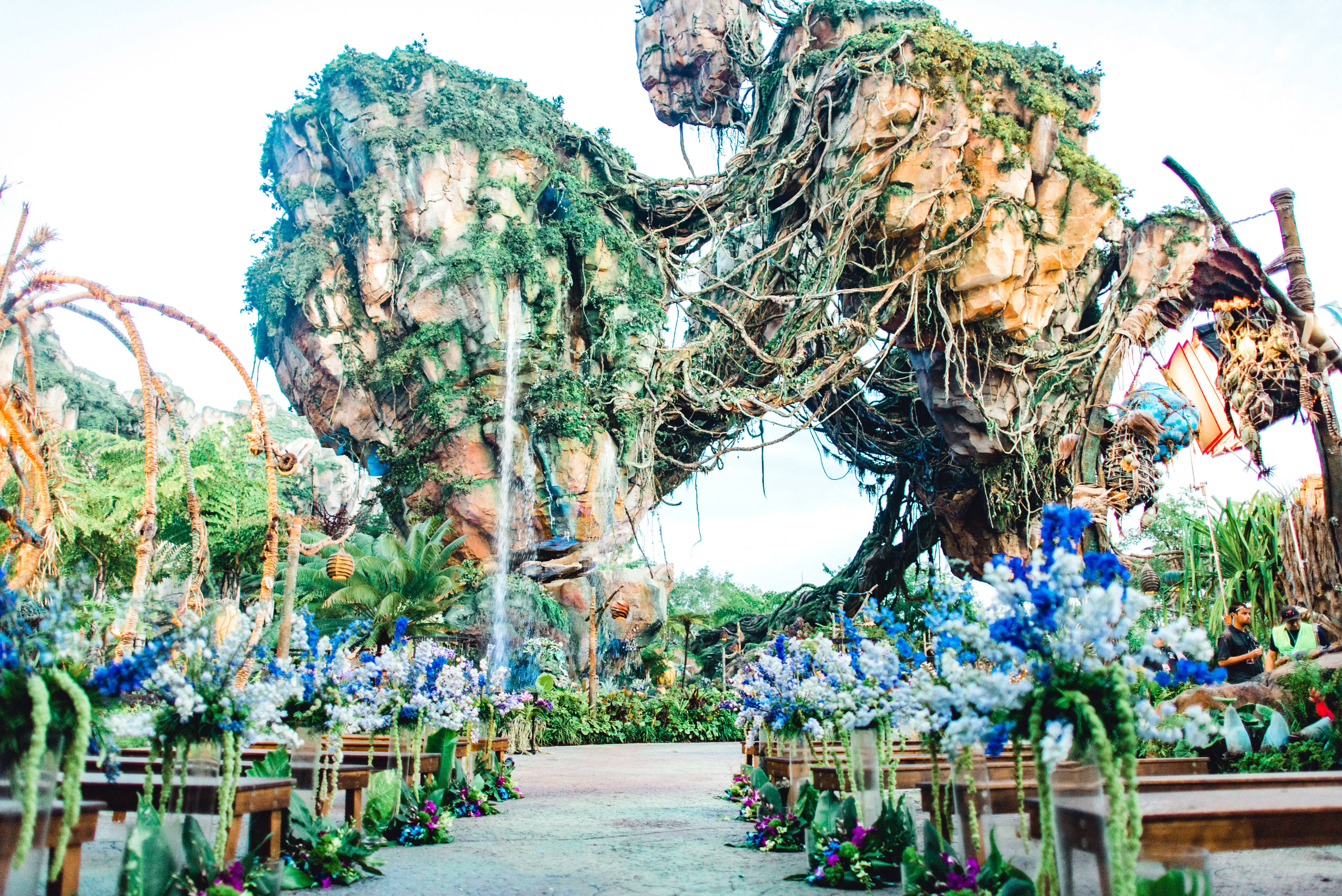 Wedding at Pandora - The World of Avatar