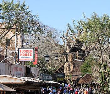 'Taste of Africa' coming to Disney's Animal Kingdom this summer?