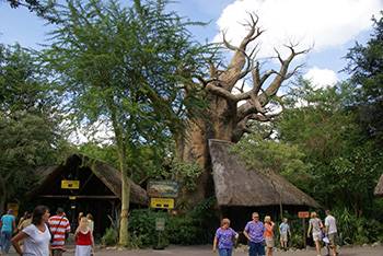 New 'Backstage Tales' tour to open in March at Disney's Animal Kingdom