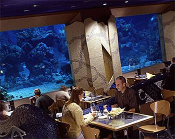 Coral Reef Restaurant closing for short refurbishment in August