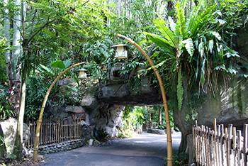 Discovery Island to Close