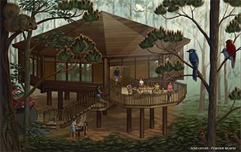 Disney officially announce the new Treehouse Villas