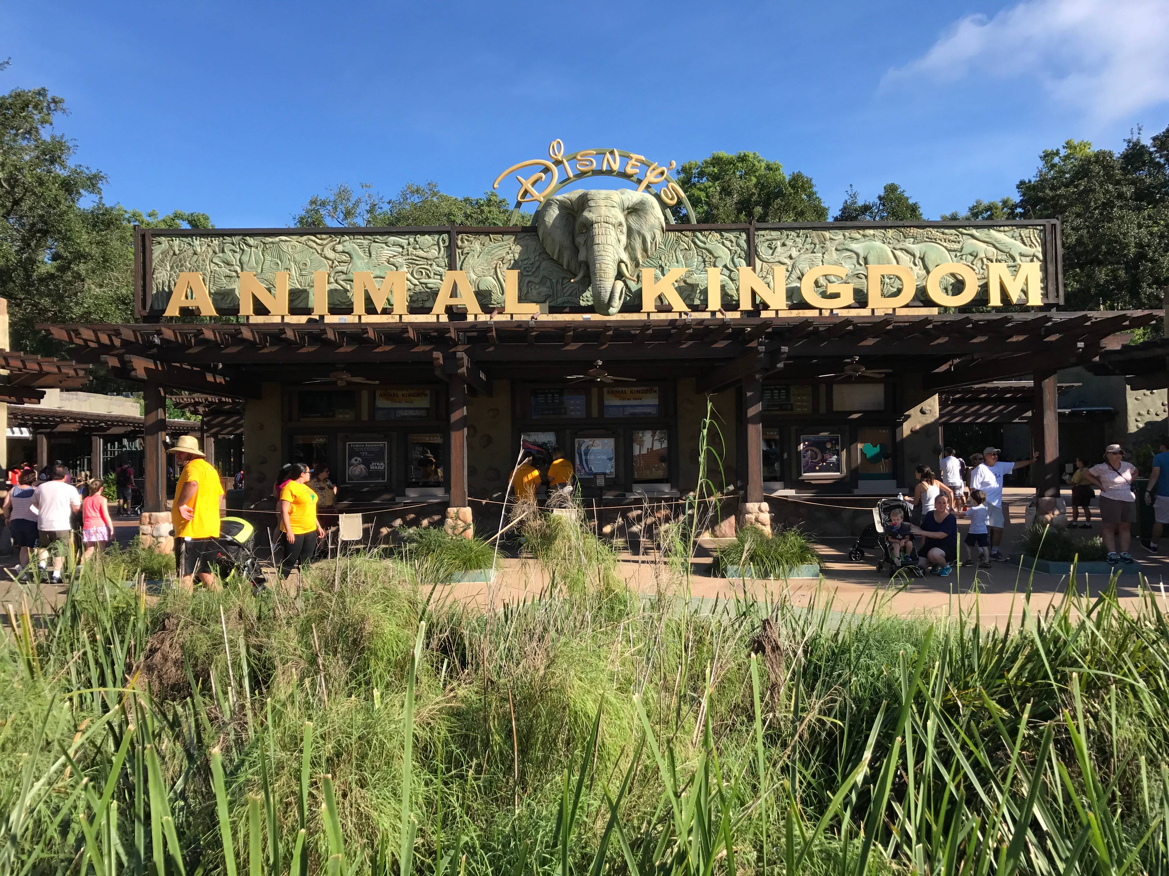 Animal Kingdom's main entrance in full sun