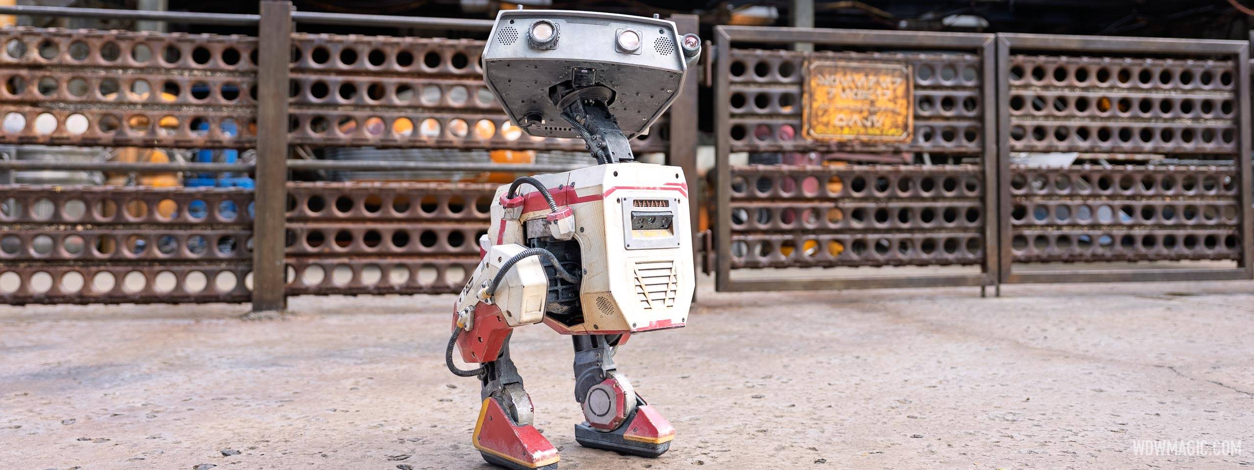 Watch Star Wars BDX Droids in Action at Disney's Hollywood Studios - Photos and Video